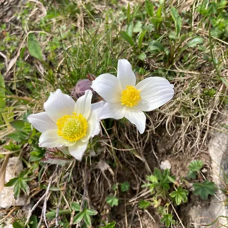 Hotel Christophorushuette Am Feuerkogel *
